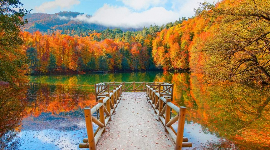 Bolu´nun Güzellikleri Turu  15-16 Kasım