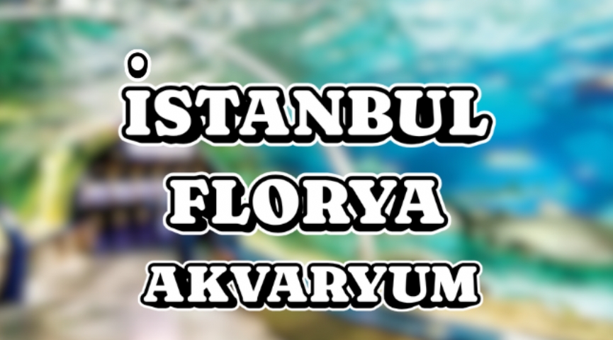 🎈23 Nisan Çocuk Bayramına Özel İstanbul Florya Akvaryum Turu 🎈