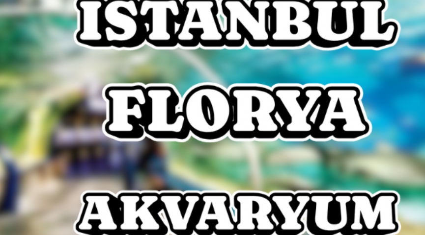 İstanbul Florya Akvaryum Turu 17 Mart