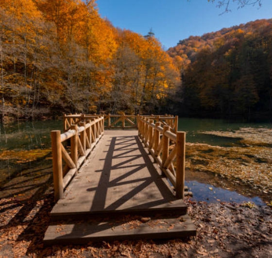 Günübirlik  Gölcük Tabiat Parkı – Abant Gölü Milli Parkı - Maşukiye Turu 13 Aralık