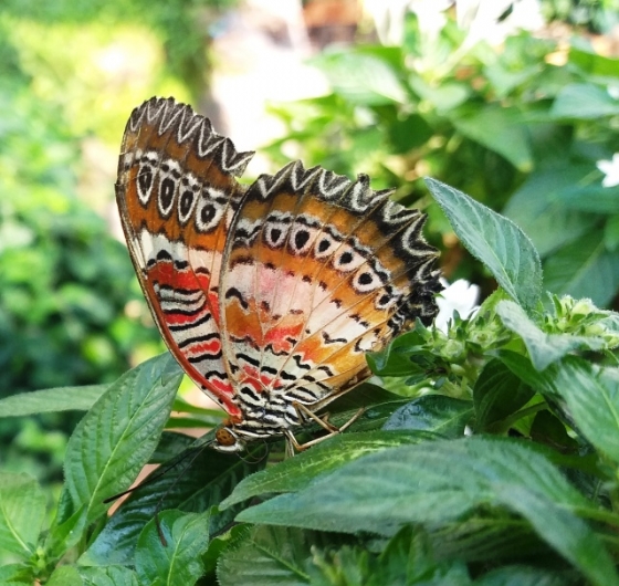 Mevlana Şehri Konya Turu 15-17 Mayıs