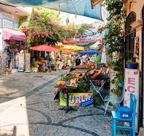Seferihsar Mandalina Festivali 15-16 Kasım