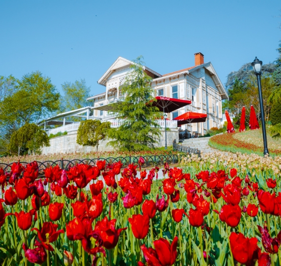 İstanbul Lale Festivali Turu 5 Nisan