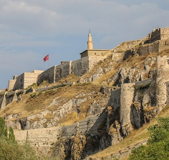 Uçaklı Van Badem Çiçeği Festivali 18-19 Nisan