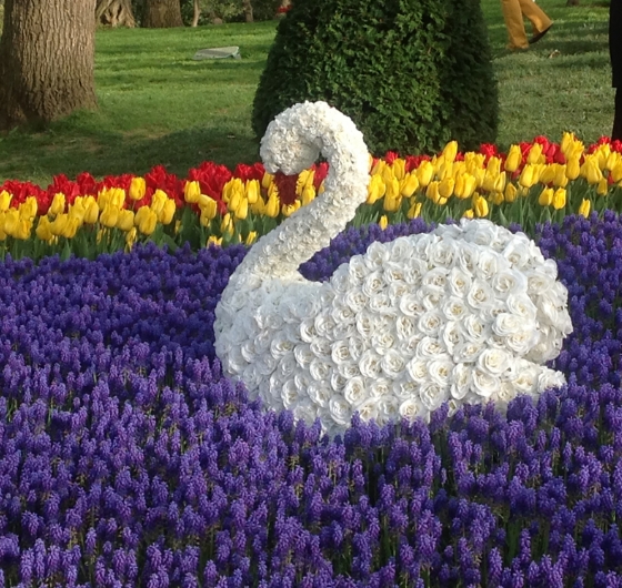 İstanbul Lale Festivali Turu 5 Nisan