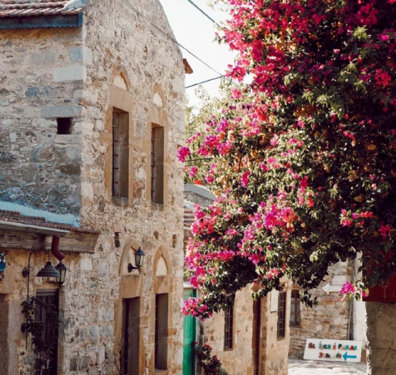 🌸 Sevgililer Günü´ne Özel Datça Badem Çiçeği Festivali 13-15 Şubat 🌸