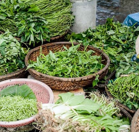 Alaçatı Ot Festivali´ne Özel İzmir Turu 24-26 Nisan