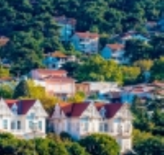 Büyükada & Eminönü Turu 6 Eylül