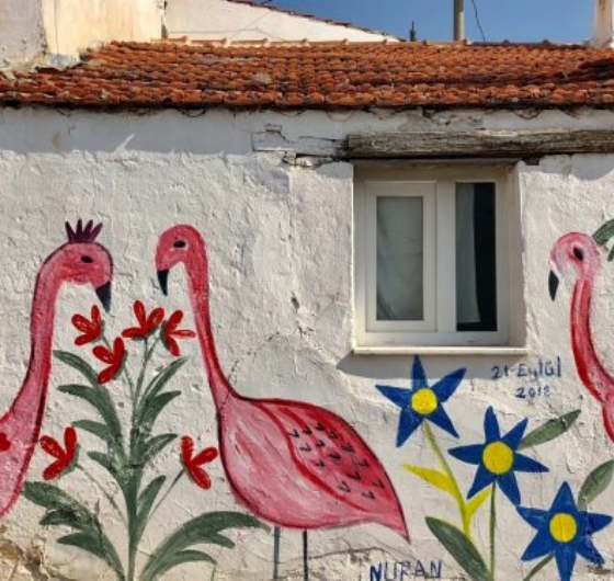 Bayındır Çiçek Festivali ve Mini Ege Turu 1-3 Mayıs