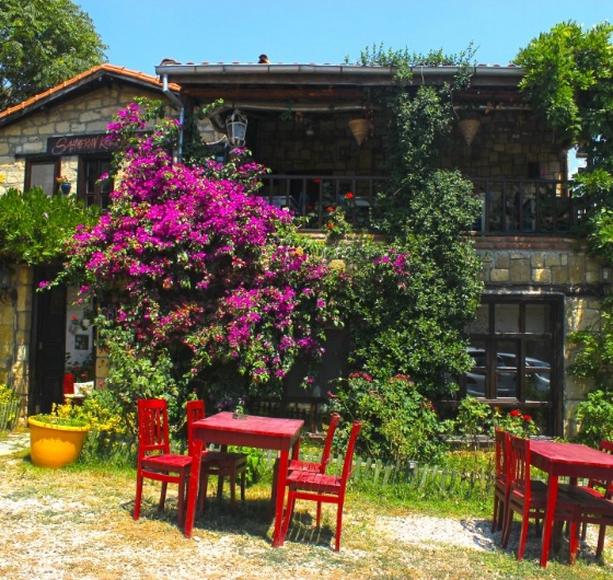 Yüzme Molalı Assos - Kadırga Koyu 28 Haziran