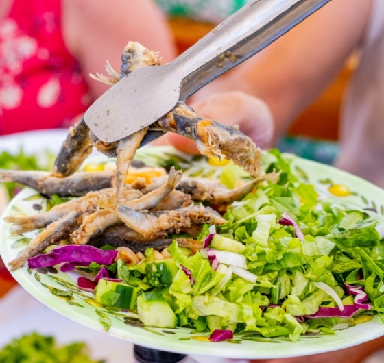 Günübirlik Ayvalık Tekne Turu Cunda Adası 30 Ağustos