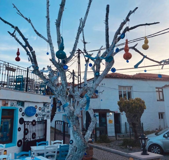 Bağ Bozumu Festivali´ne Özel Bozcaada & Gökçeada 13-14 Eylül