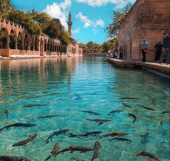 Medeniyetlerin İzinde Gap Turu 25-30 Kasım