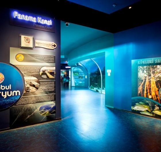 🎈23 Nisan Çocuk Bayramına Özel İstanbul Florya Akvaryum Turu 🎈