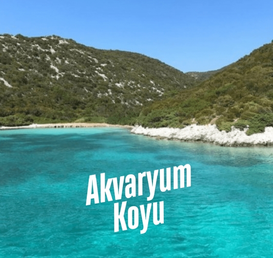 Ege’nin Koylarına Kaçış 8-10 Ağustos
