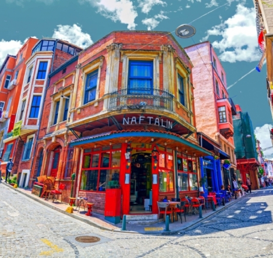 GÜNÜBİRLİK ÜSKÜDAR-KUZGUNCUK-BEYLERBEYİ SARAYI TURU 29 KASIM