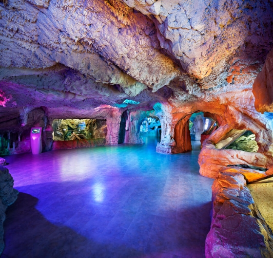 🎈23 Nisan Çocuk Bayramına Özel İstanbul Florya Akvaryum Turu 🎈