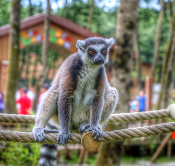 ☃️Sömestr´a Özel Konaklamalı Bolu - Gölcük - Abant - Kartepe - Maşukiye - Ormanya 17-18 Ocak ☃️