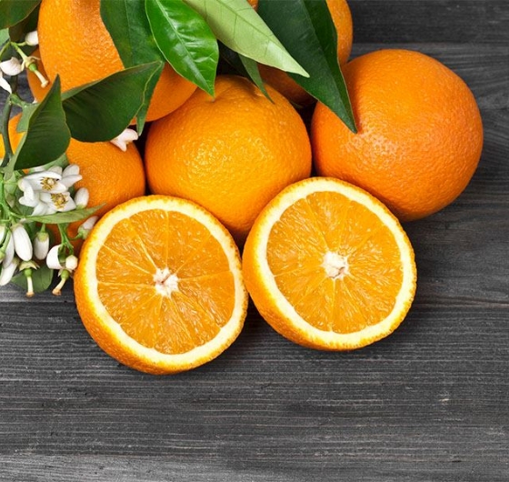 🍊Adana Portakal Çiçeği Festivali 3-5 Nisan🍊