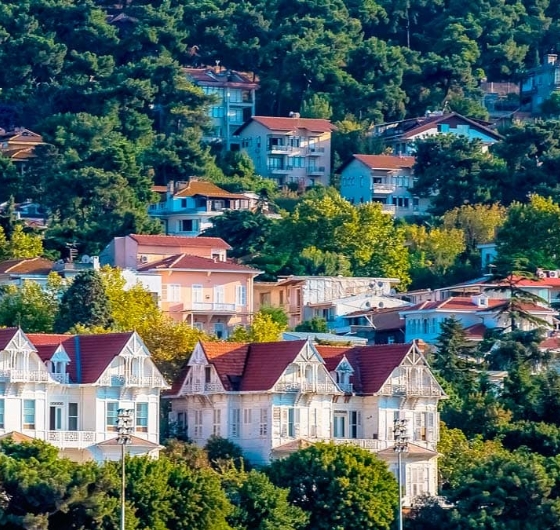 Günübirlik Büyükada&Eminönü 11 Mayıs