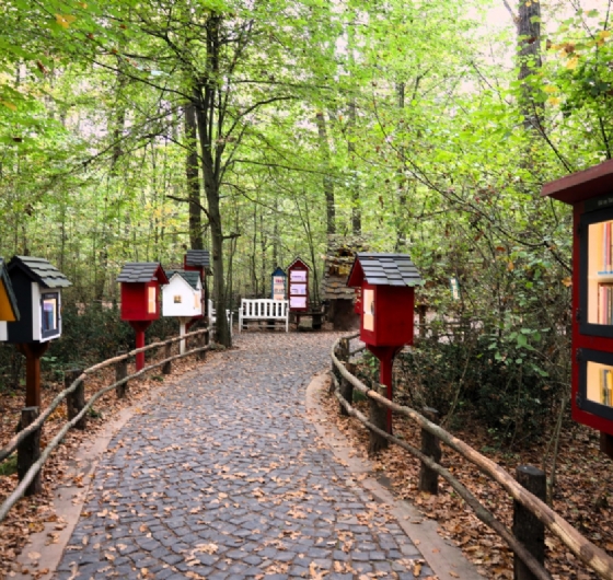 Ormanya - Maxfun - Maşukiye Turu 18 Mart