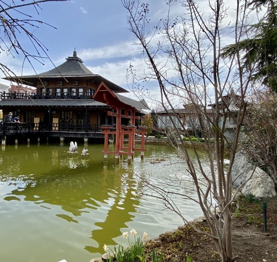 Mevlana Şehri Konya Turu 15-17 Mayıs