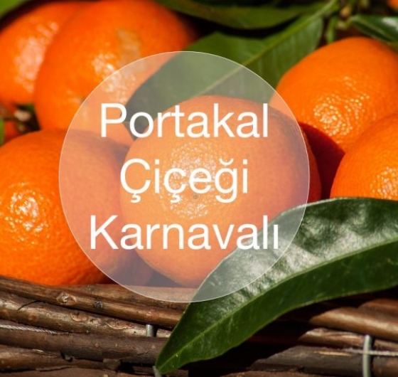 🍊Adana Portakal Çiçeği Festivali 3-5 Nisan🍊