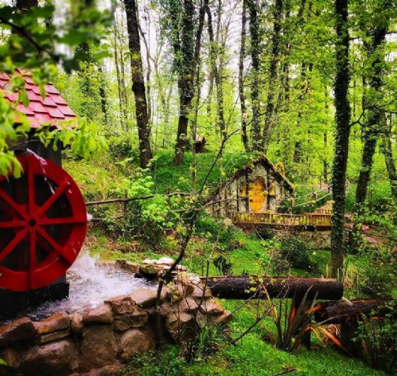 ❤️Sevgililer Günü´ne Özel Konaklamalı Bolu - Gölcük - Abant - Kartepe - Maşukiye - Ormanya 14-15 Şubat ❤️