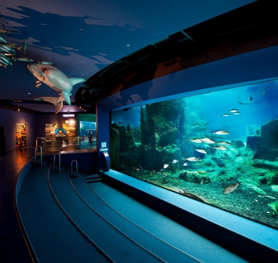 İstanbul Florya Akvaryum Turu 17 Mart