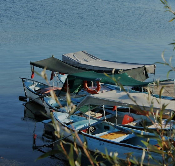 Günübirlik Gölyazı - Trilye - Mudanya Turu 17 Mayıs