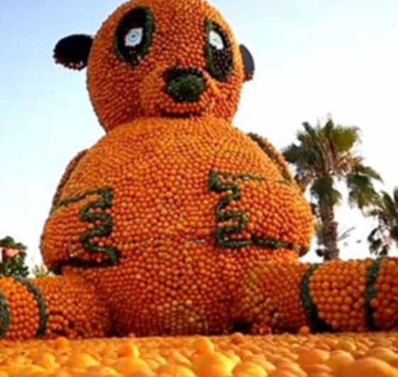 🍊Adana Portakal Çiçeği Festivali 3-5 Nisan🍊