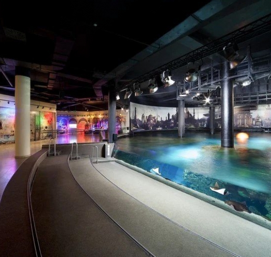 İstanbul Florya Akvaryum Turu 17 Mart