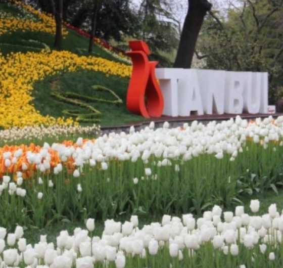 İstanbul Lale Festivali Turu 25 Nisan