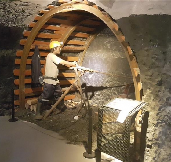 Batı Karadeniz Masalı Yedigöller - Zonguldak 25-26 Ekim