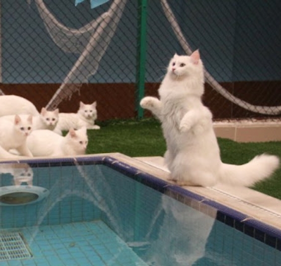 Efsane Doğu Anadolu Turu: Van Hakkari Şırnak Yüksekova Siirt Diyarbakır Tunceli 24-30 Ağustos