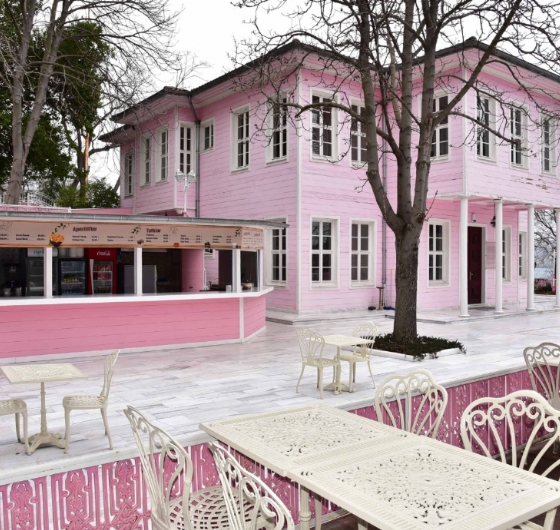 23 Nisan´a Özel İstanbul Lale Festivali Turu