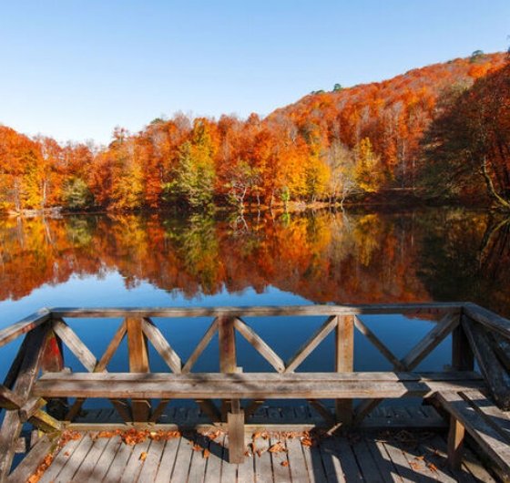 Günübirlik  Gölcük Tabiat Parkı – Abant Gölü Milli Parkı - Maşukiye Turu 13 Aralık