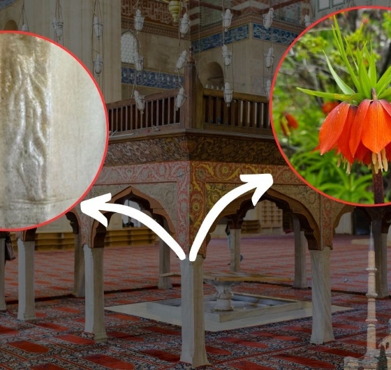 Günübirlik Edirne Turu 9 Kasım