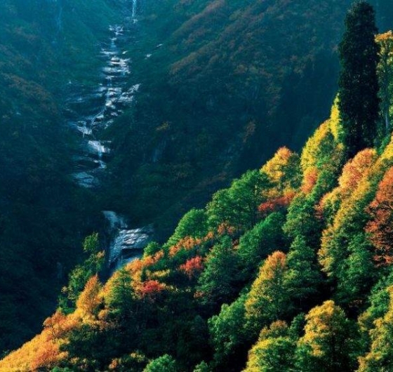 Karadeniz Masalı & Batum Turu 14-20 Eylül