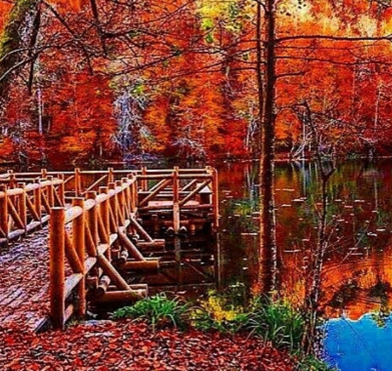 Günübirlik  Gölcük Tabiat Parkı – Abant Gölü Milli Parkı - Maşukiye Turu 13 Aralık