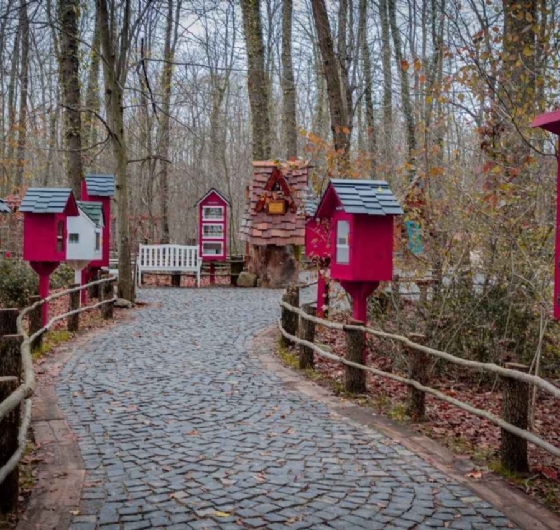 🌨️Günübirlik Ormanya - Kartepe - Maşukiye 10 Ocak 🌨️