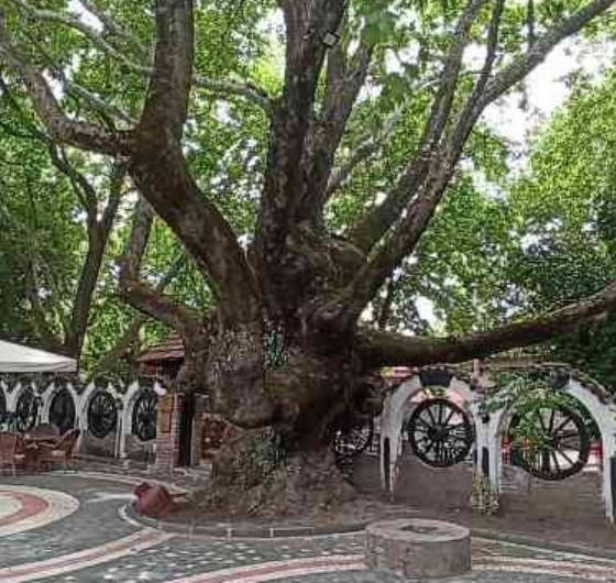 Kazdağları Şelaleri & Jeep Safari Turu 29 Haziran