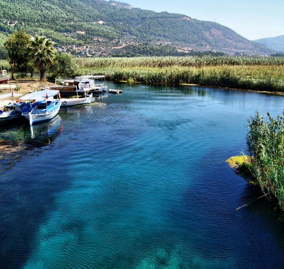 🌸 Sevgililer Günü´ne Özel Datça Badem Çiçeği Festivali 13-15 Şubat 🌸