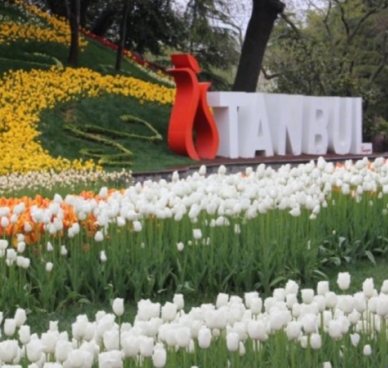 23 Nisan´a Özel İstanbul Lale Festivali Turu