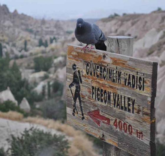 Kasımda Aşk Kapadokya’da Başlar 20 - 22 Kasım