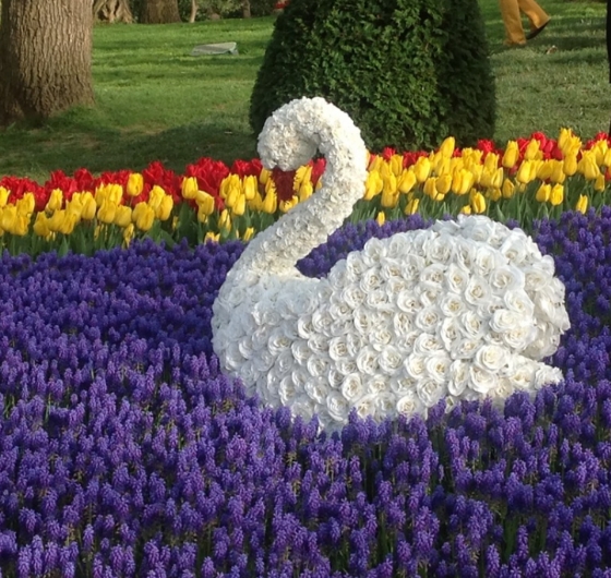 İstanbul Lale Festivali Turu 11 Nisan