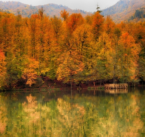 Bolu´nun Güzellikleri Turu  15-16 Kasım