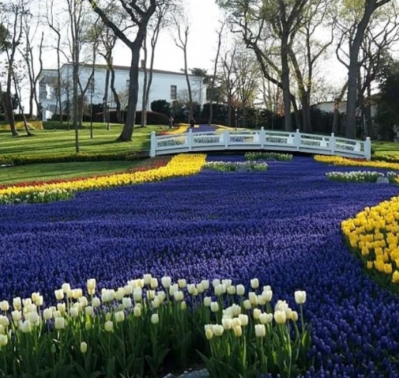 İstanbul Lale Festivali Turu 5 Nisan