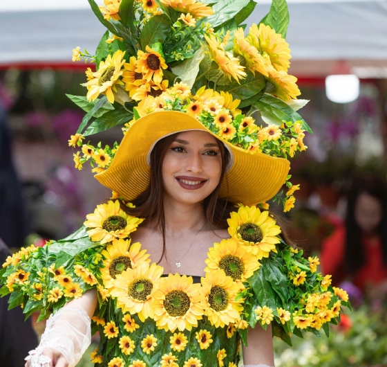 Bayındır Çiçek Festivali ve Mini Ege Turu 1-3 Mayıs