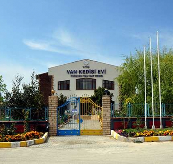 Doğu´nun İncileri Turu 5-11 Ekim